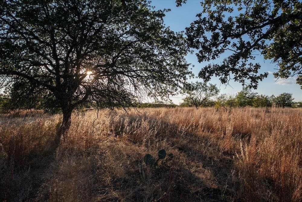 167 acres in Mason County