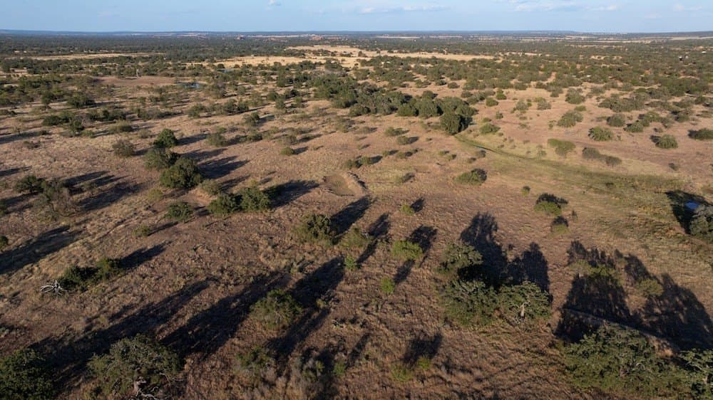 167 acres in Mason County - photo 15