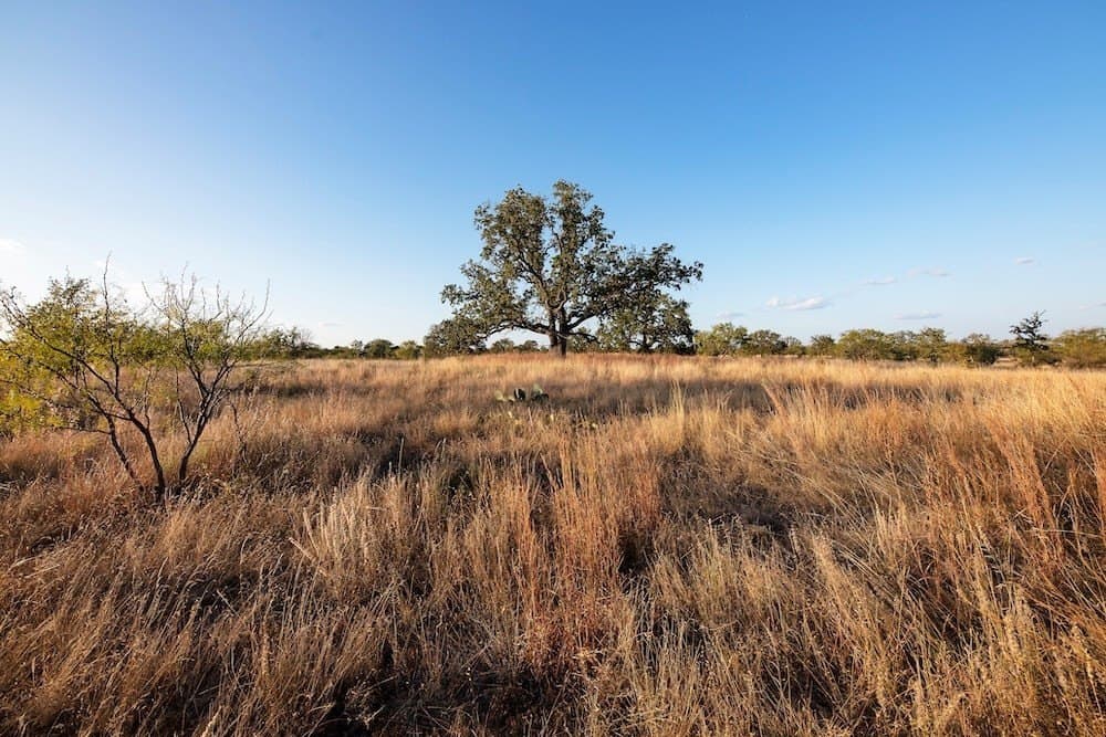 167 acres in Mason County - photo 6