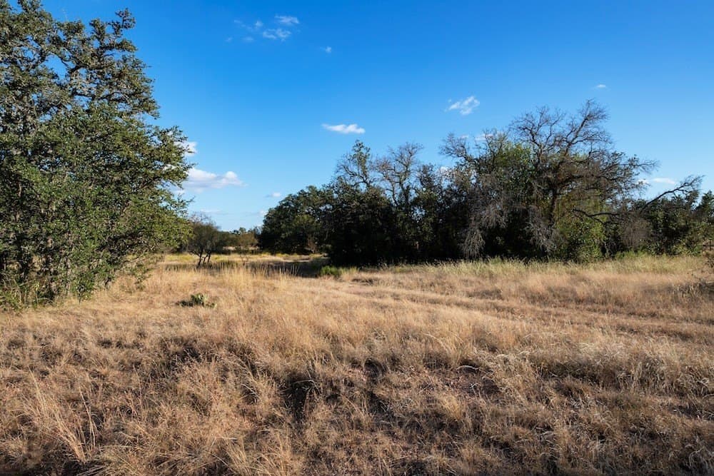 167 acres in Mason County gallery image 2