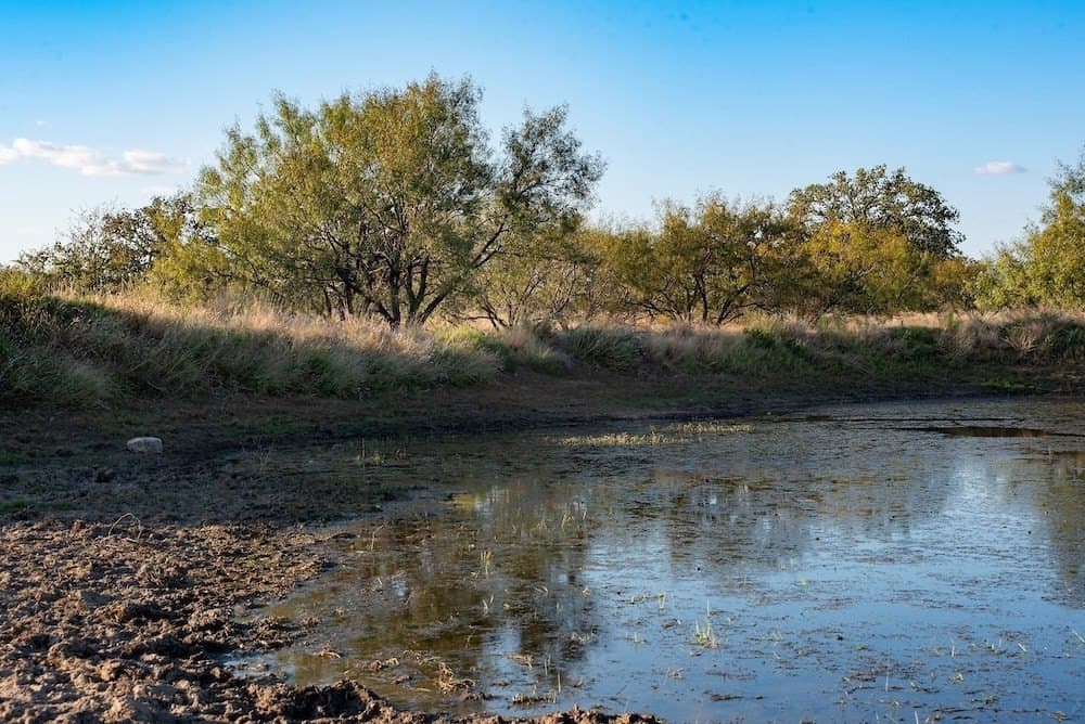 167 acres in Mason County - photo 8