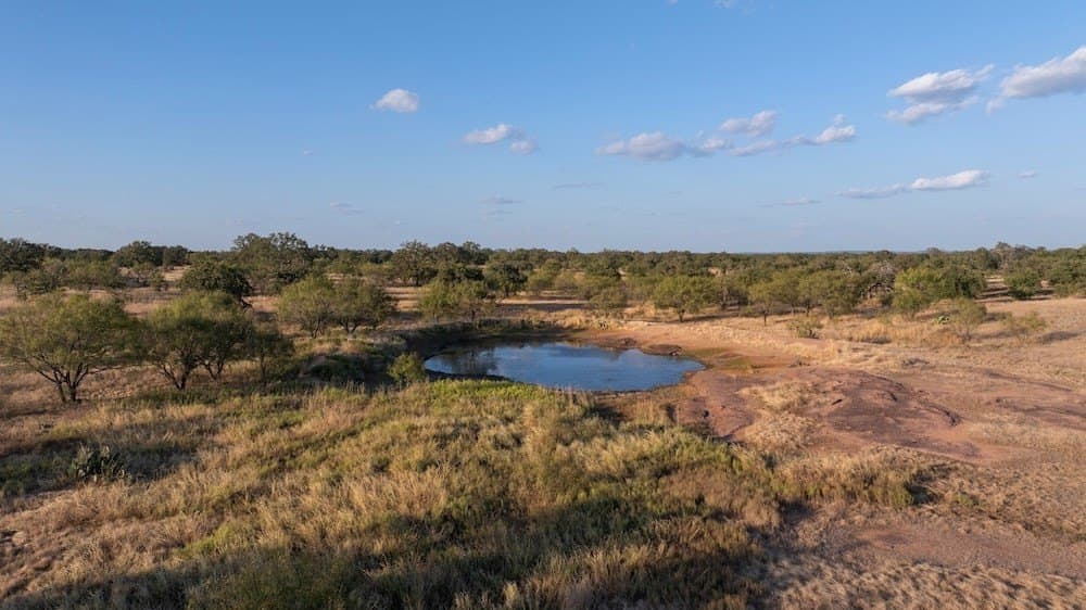 167 acres in Mason County - photo 14