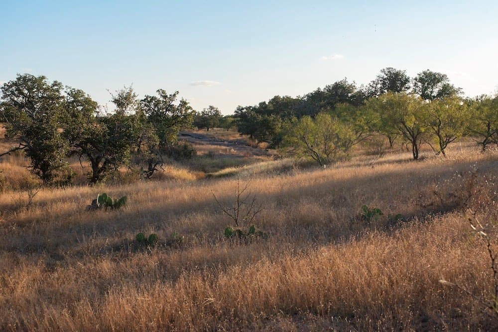 167 acres in Mason County - photo 11