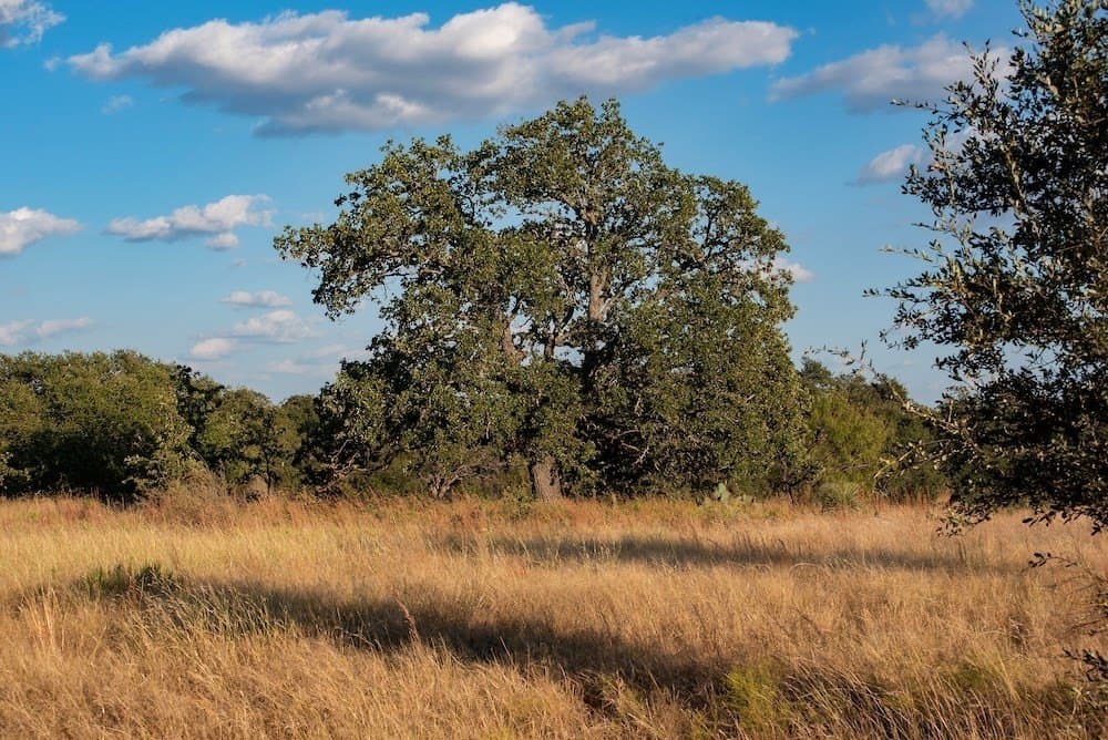 167 acres in Mason County - photo 7