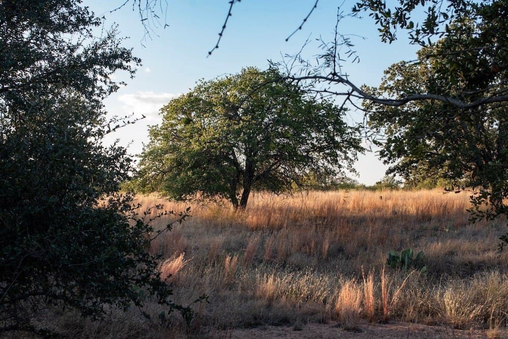 167 acres in Mason County - photo 10