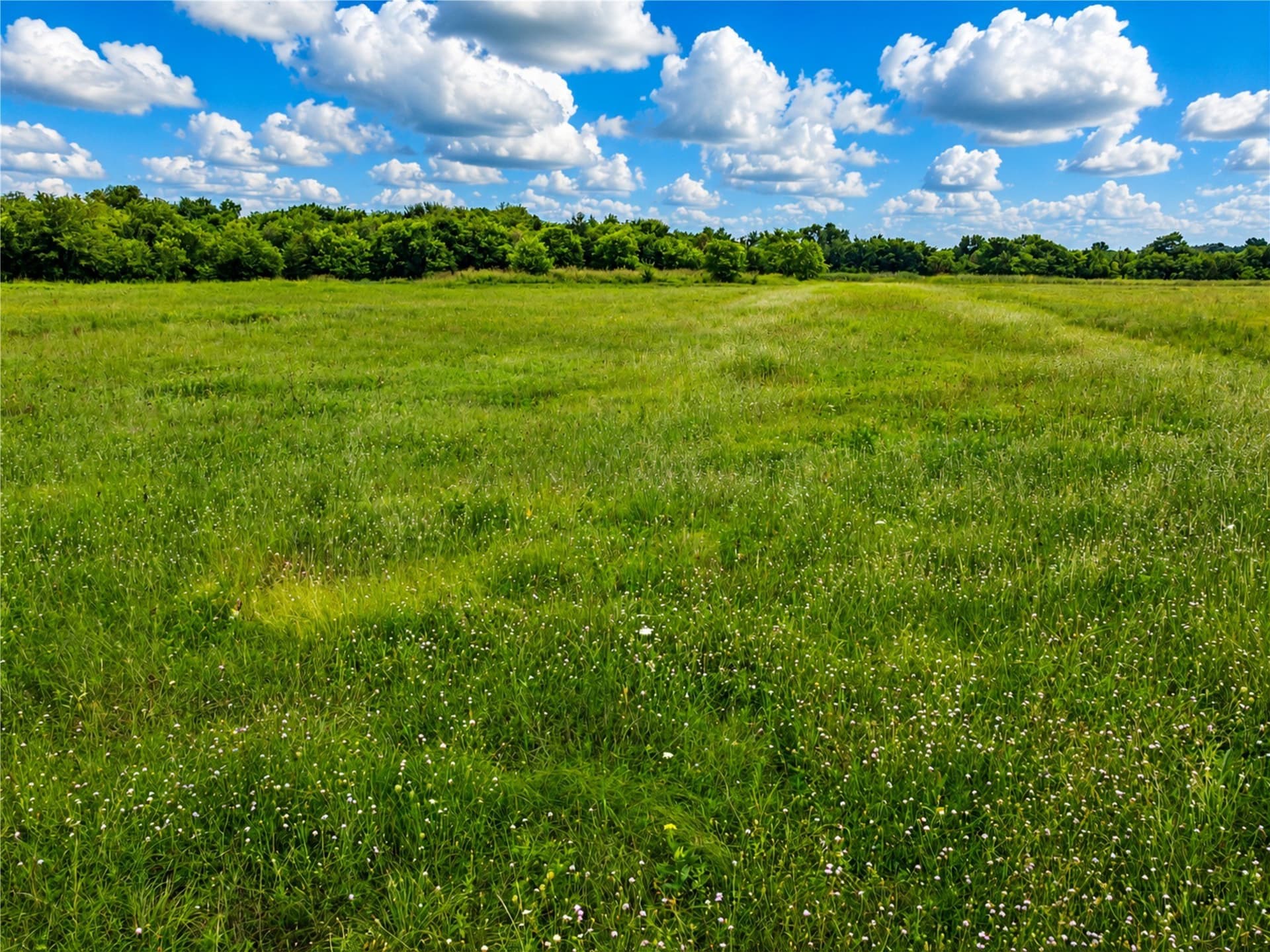 35 acres in Hunt County - photo 20
