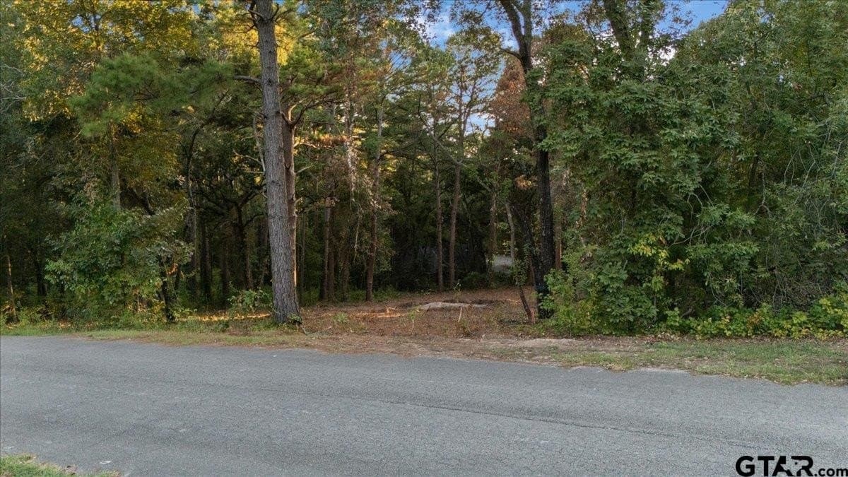 0.35 acres in Smith County - photo 3