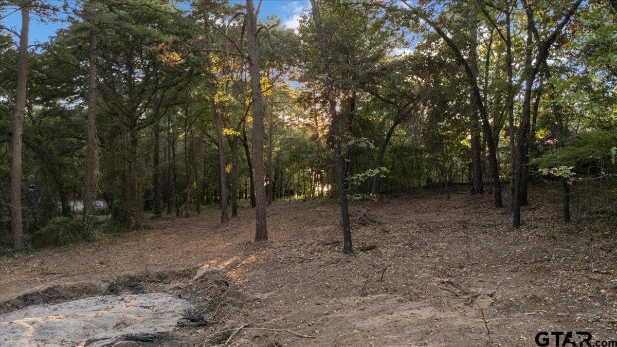 0.35 acres in Smith County - photo 6