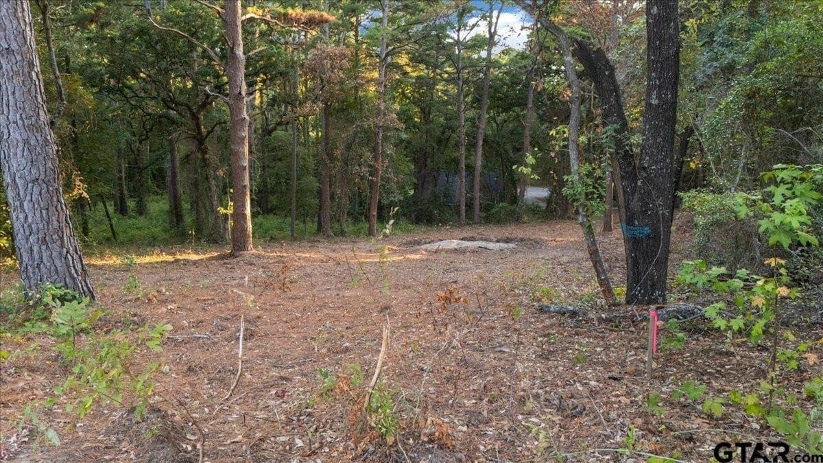 0.35 acres in Smith County - photo 5