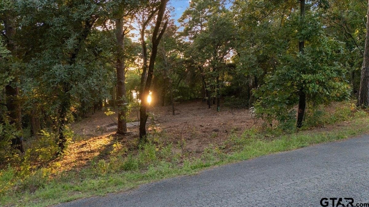 0.35 acres in Smith County - photo 2