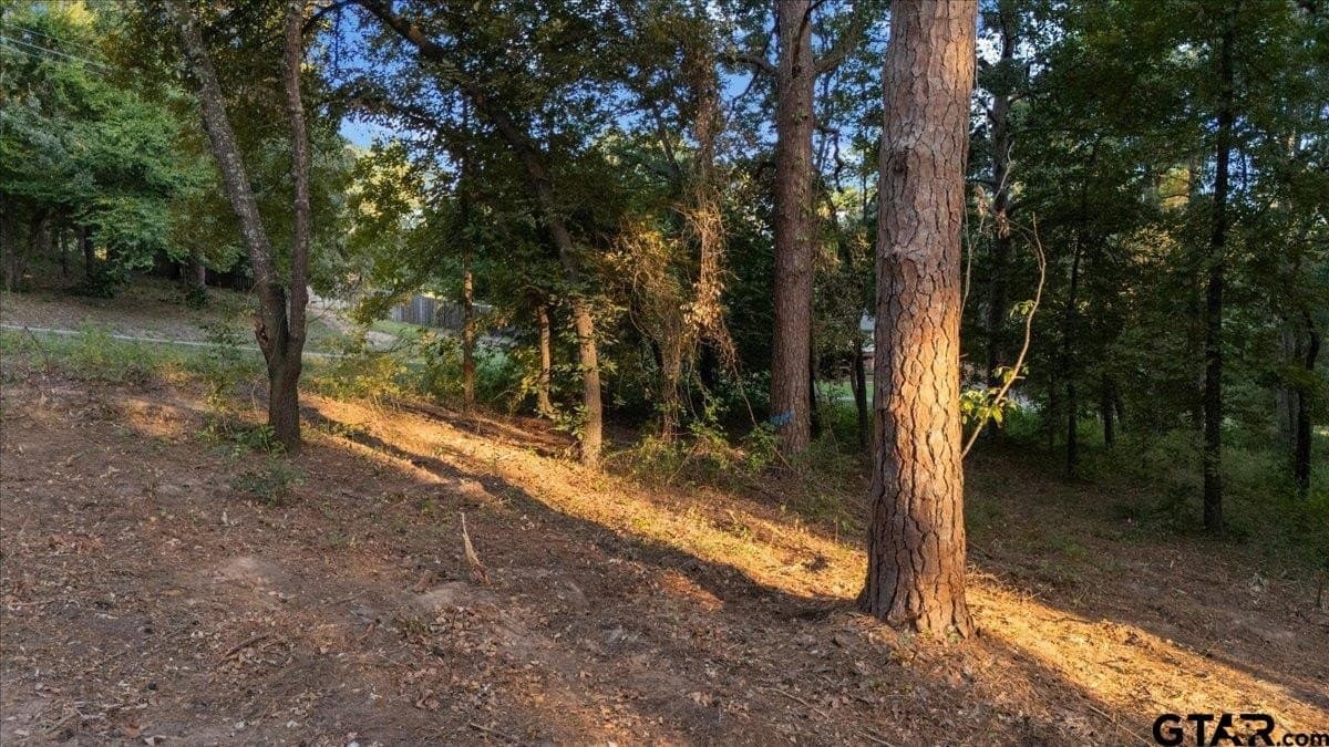0.35 acres in Smith County - photo 4