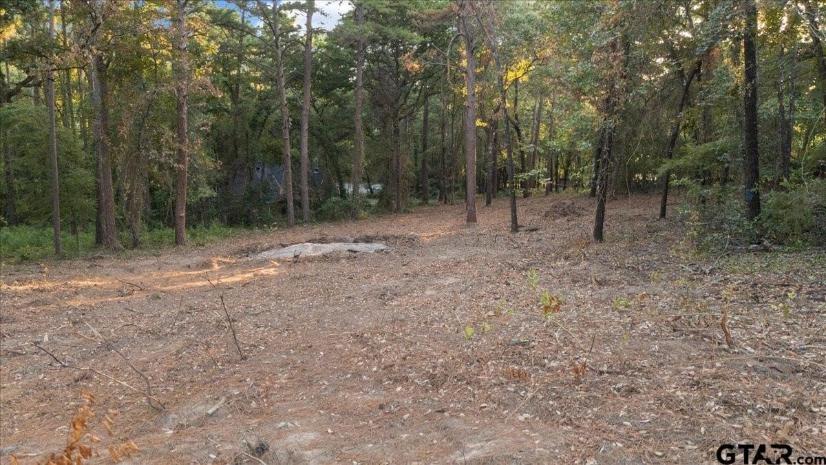 0.35 acres in Smith County