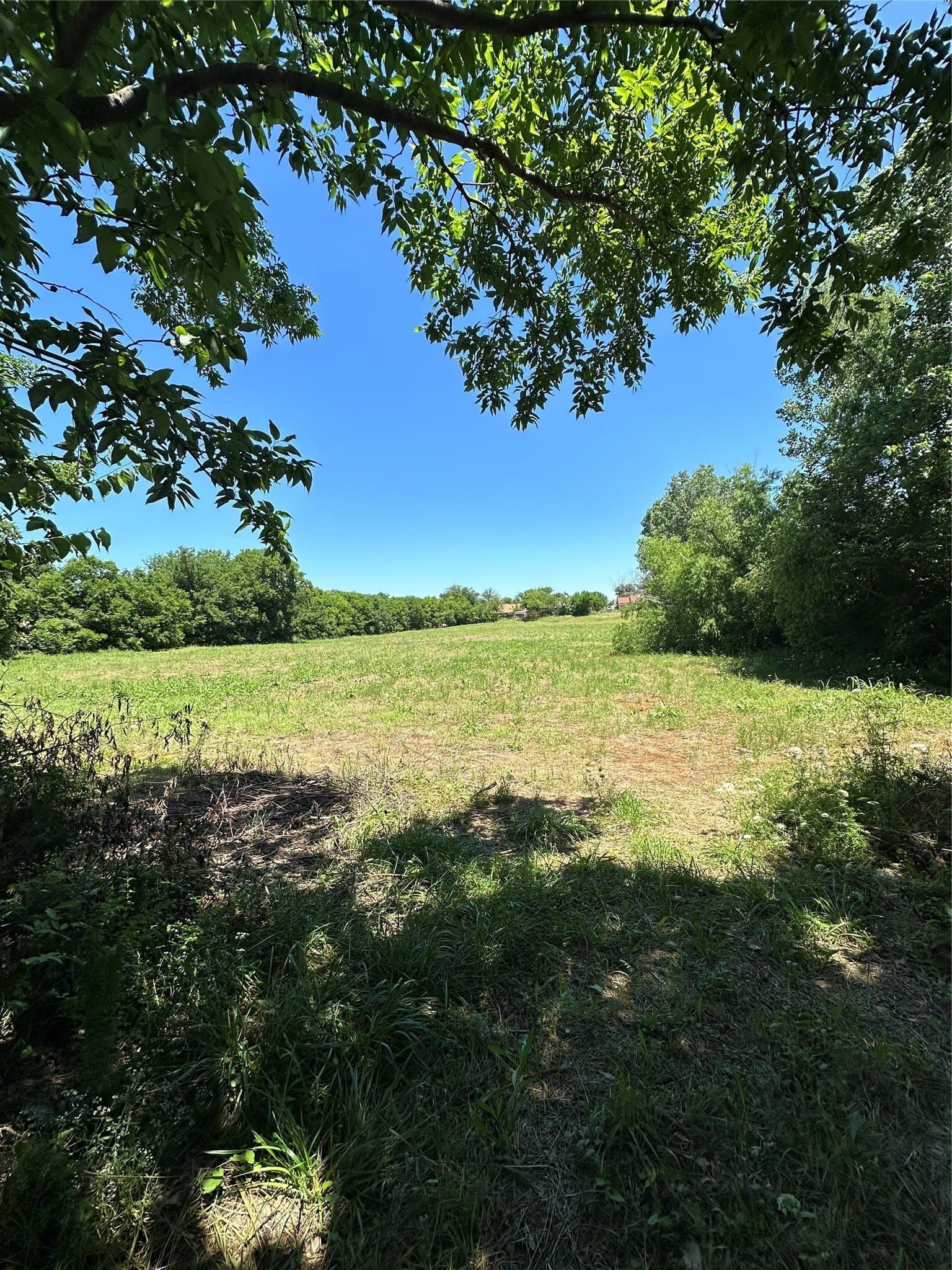 2.34 acres in Dallas County - photo 2