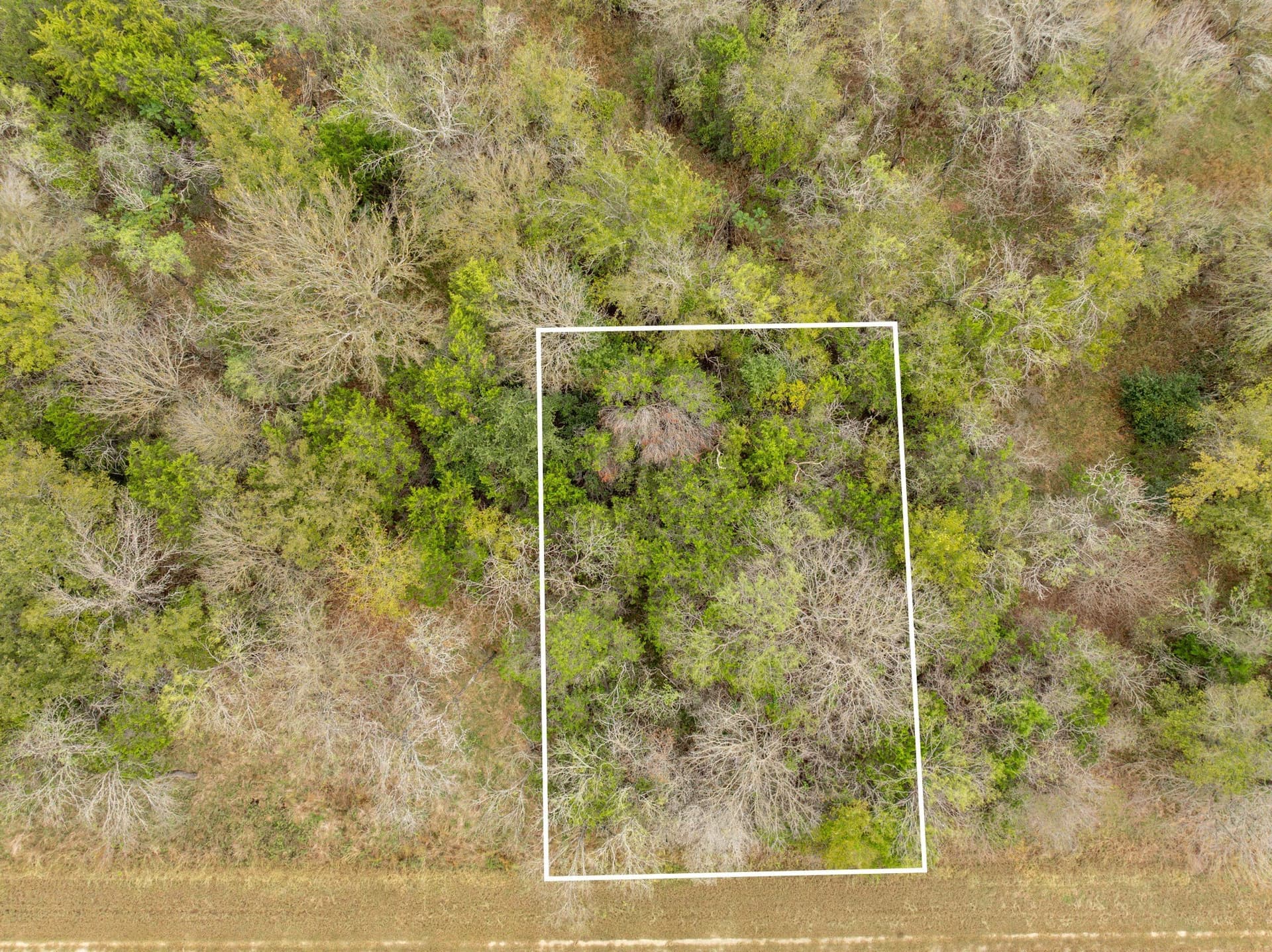 15 acres in Hill County - photo 23