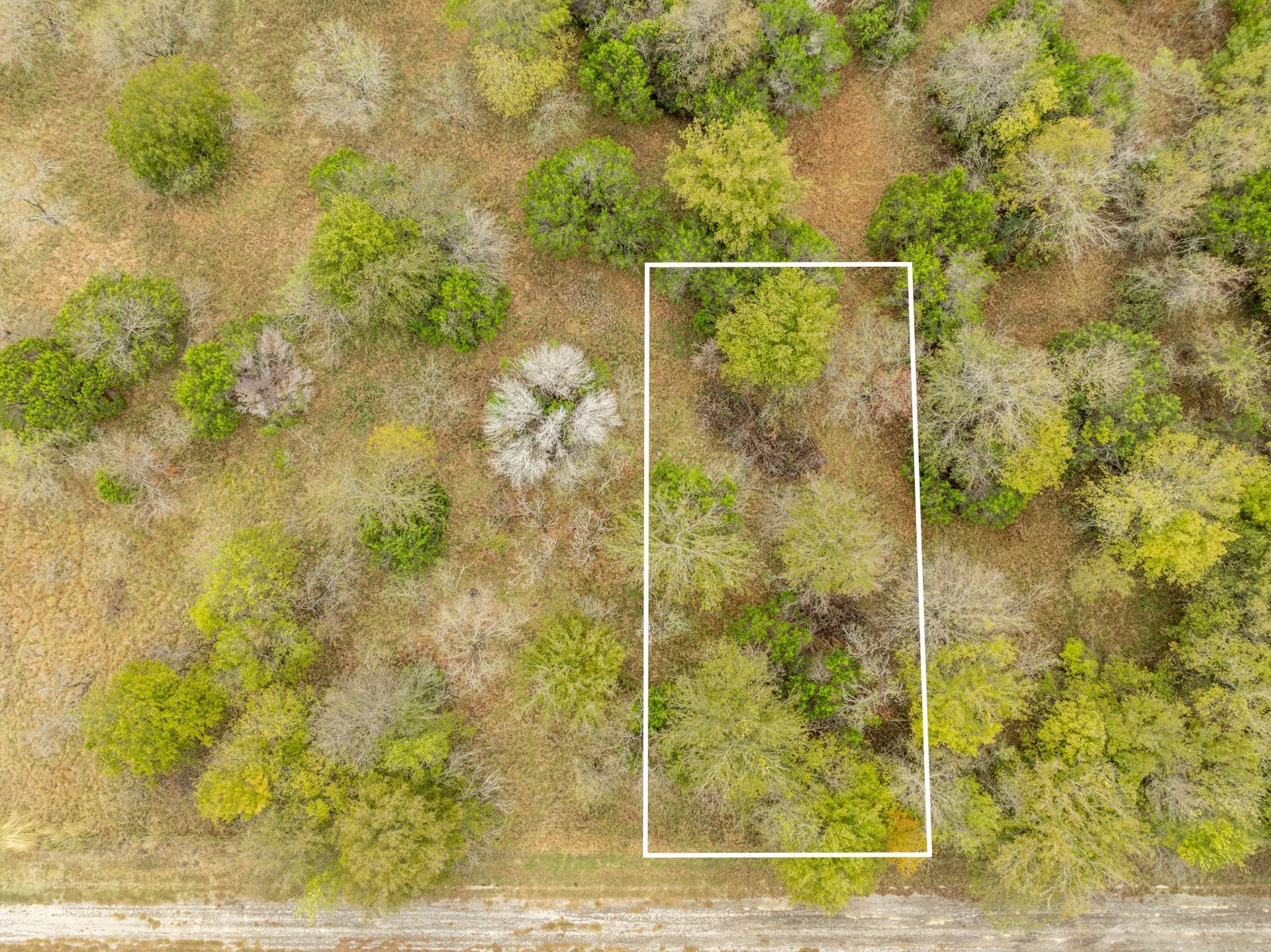 15 acres in Hill County - photo 18