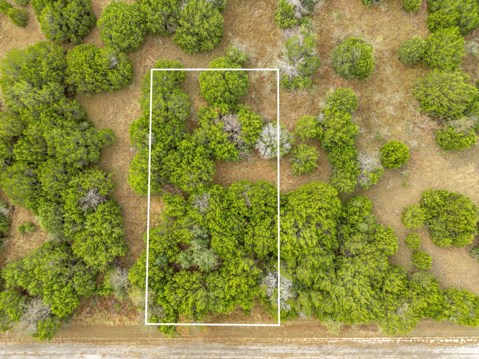 15 acres in Hill County - photo 16