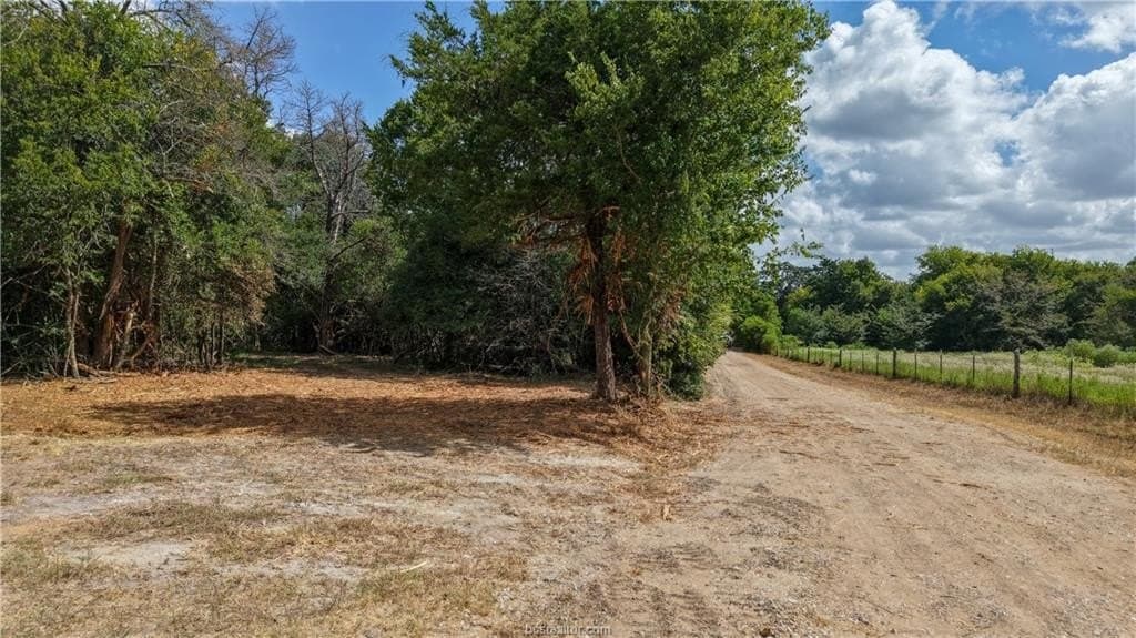 17.43 acres in Brazos County - photo 5