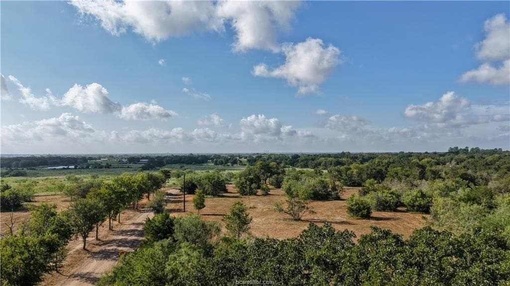 17.43 acres in Brazos County - photo 12