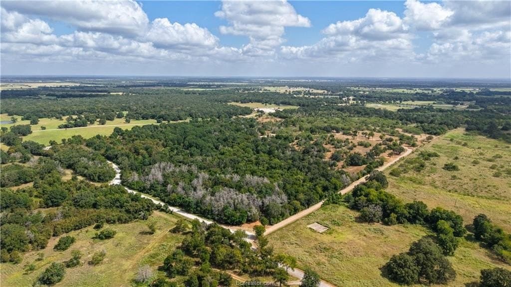 17.43 acres in Brazos County - photo 16