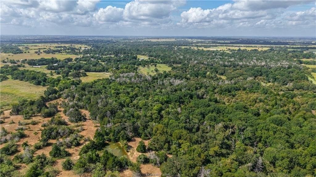 17.43 acres in Brazos County - photo 13