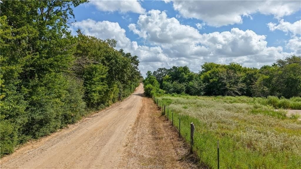 17.43 acres in Brazos County - photo 6