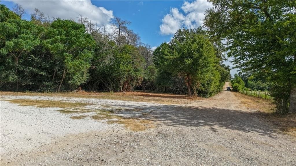 17.43 acres in Brazos County - photo 4