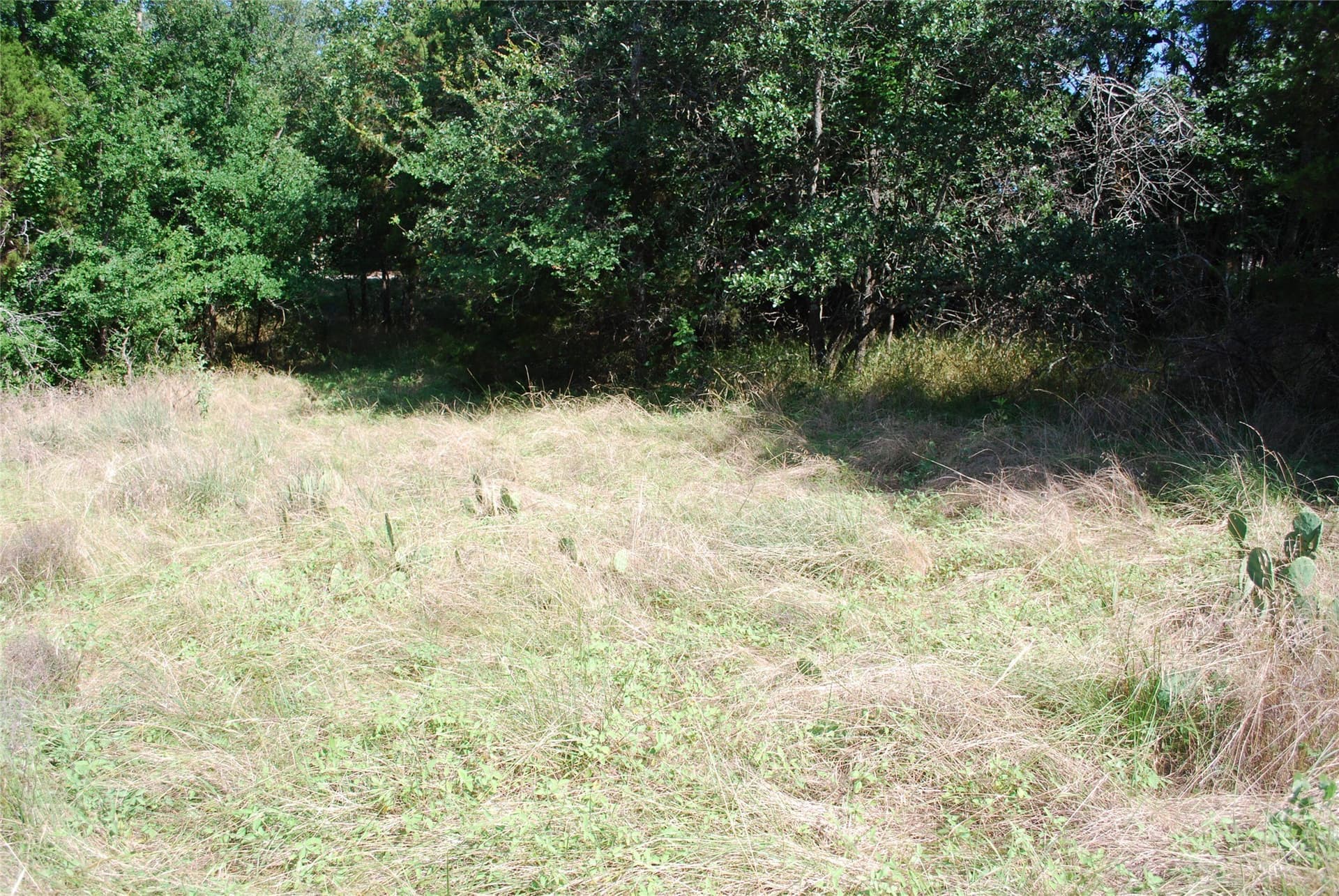 0.26 acres in Hill County - photo 8