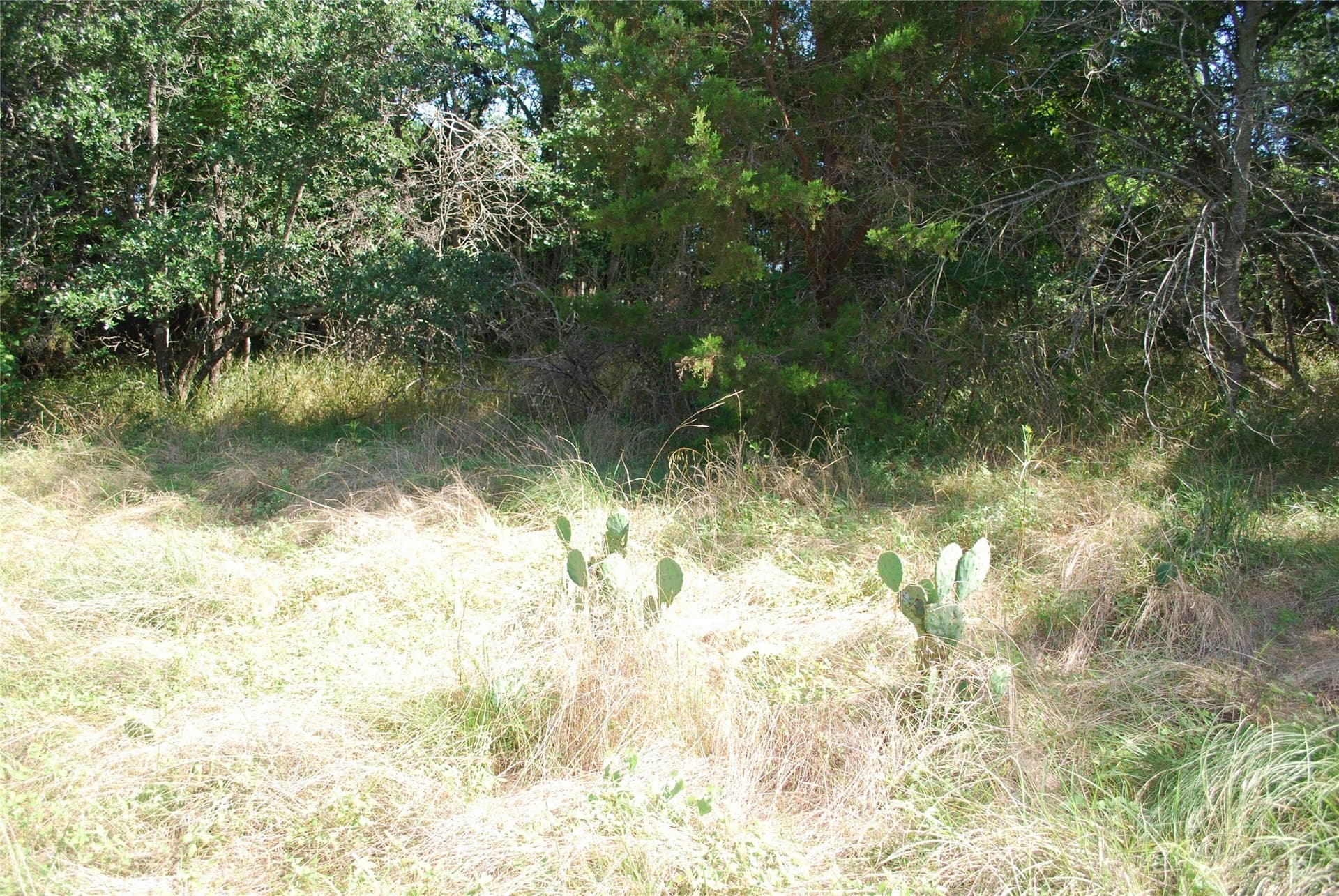 0.26 acres in Hill County - photo 9