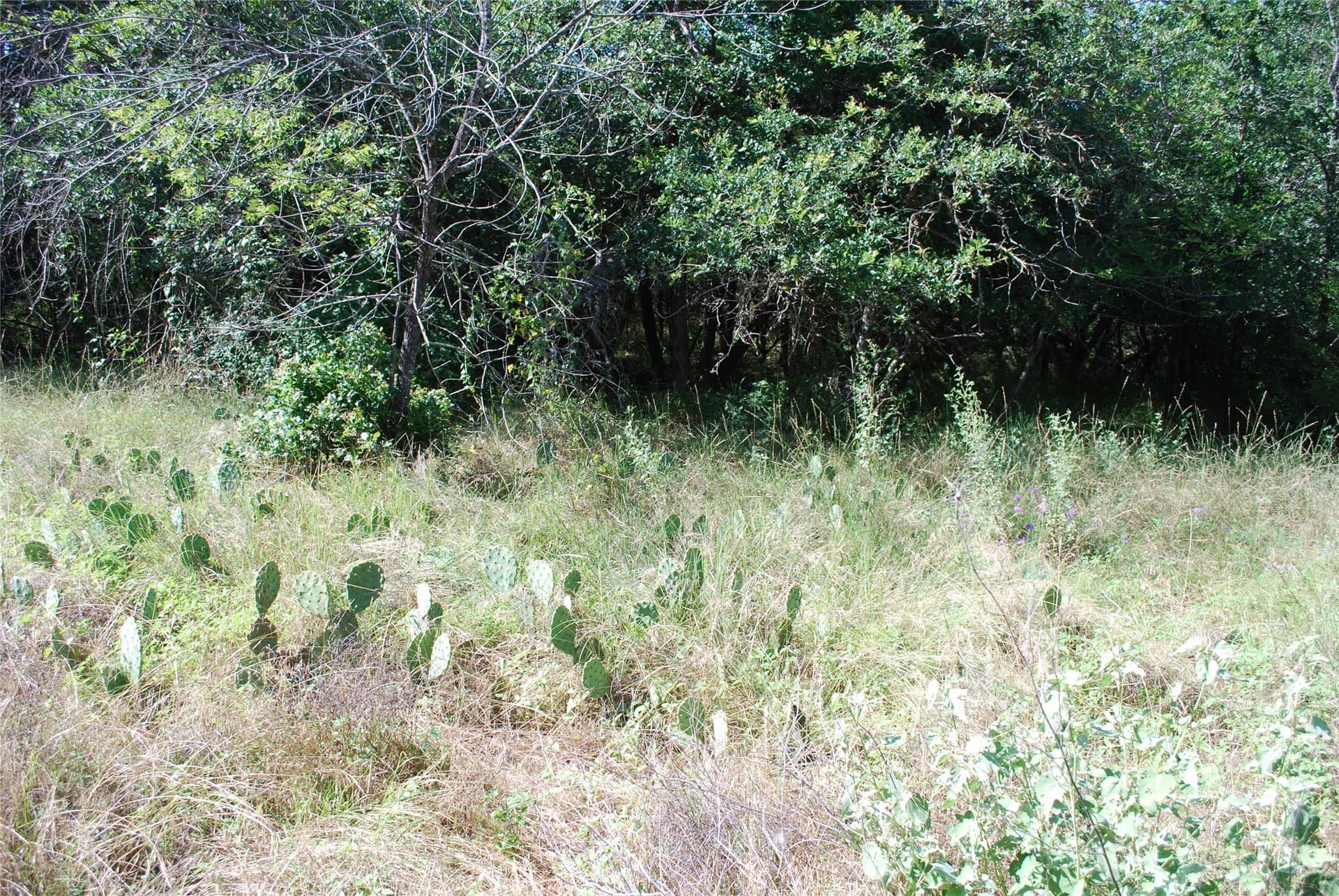 0.26 acres in Hill County - photo 6