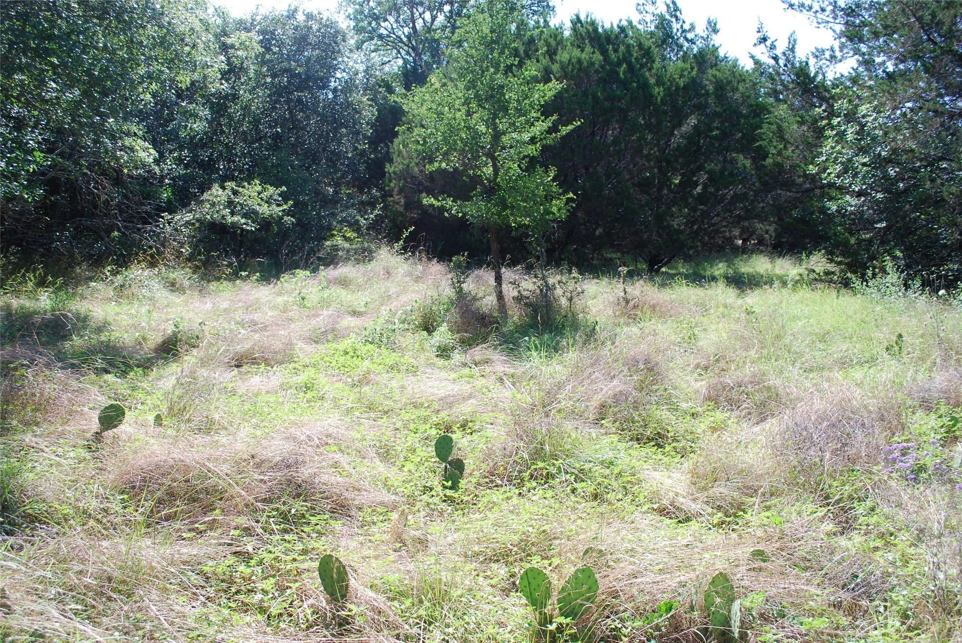 0.26 acres in Hill County featured view