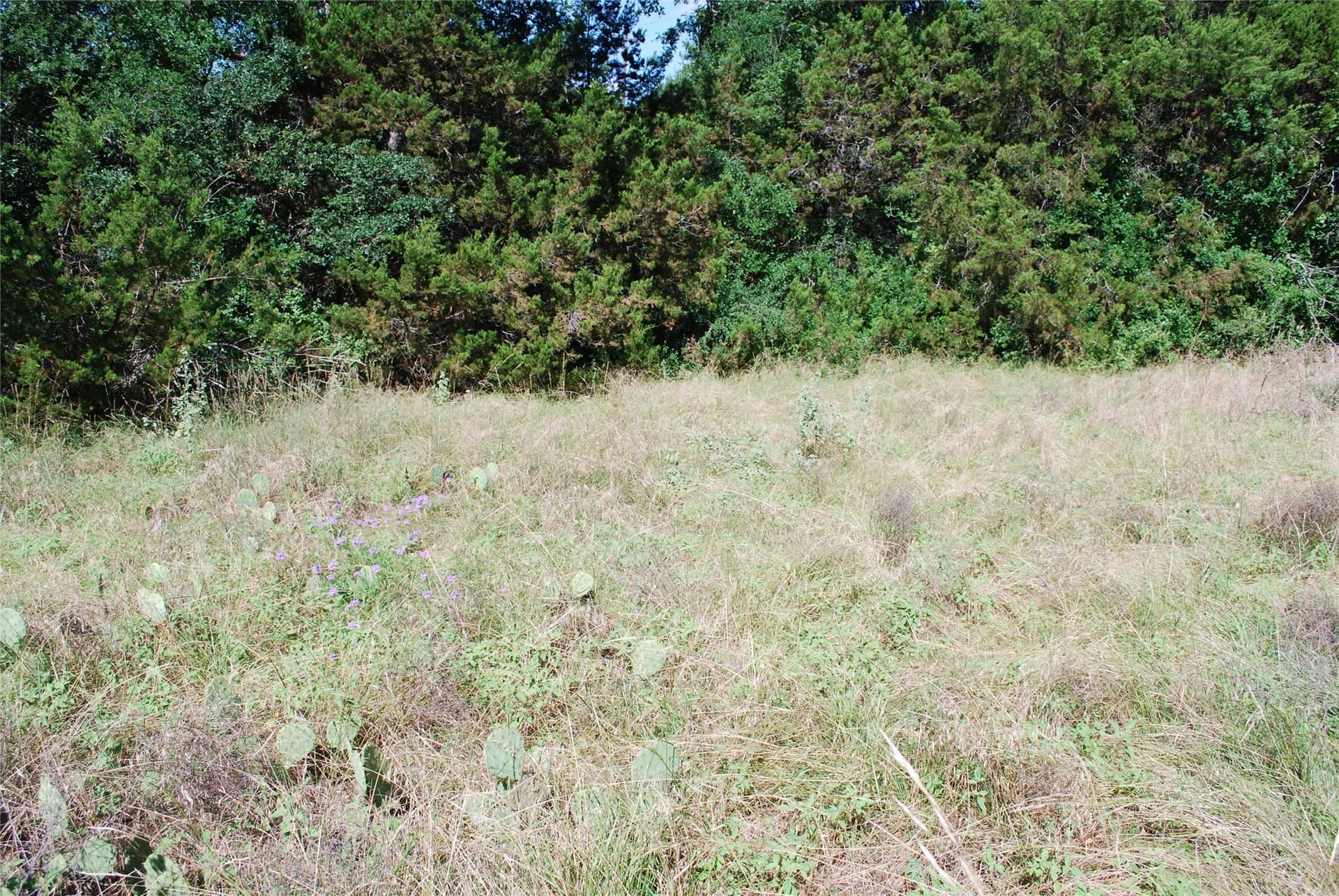 0.26 acres in Hill County - photo 7