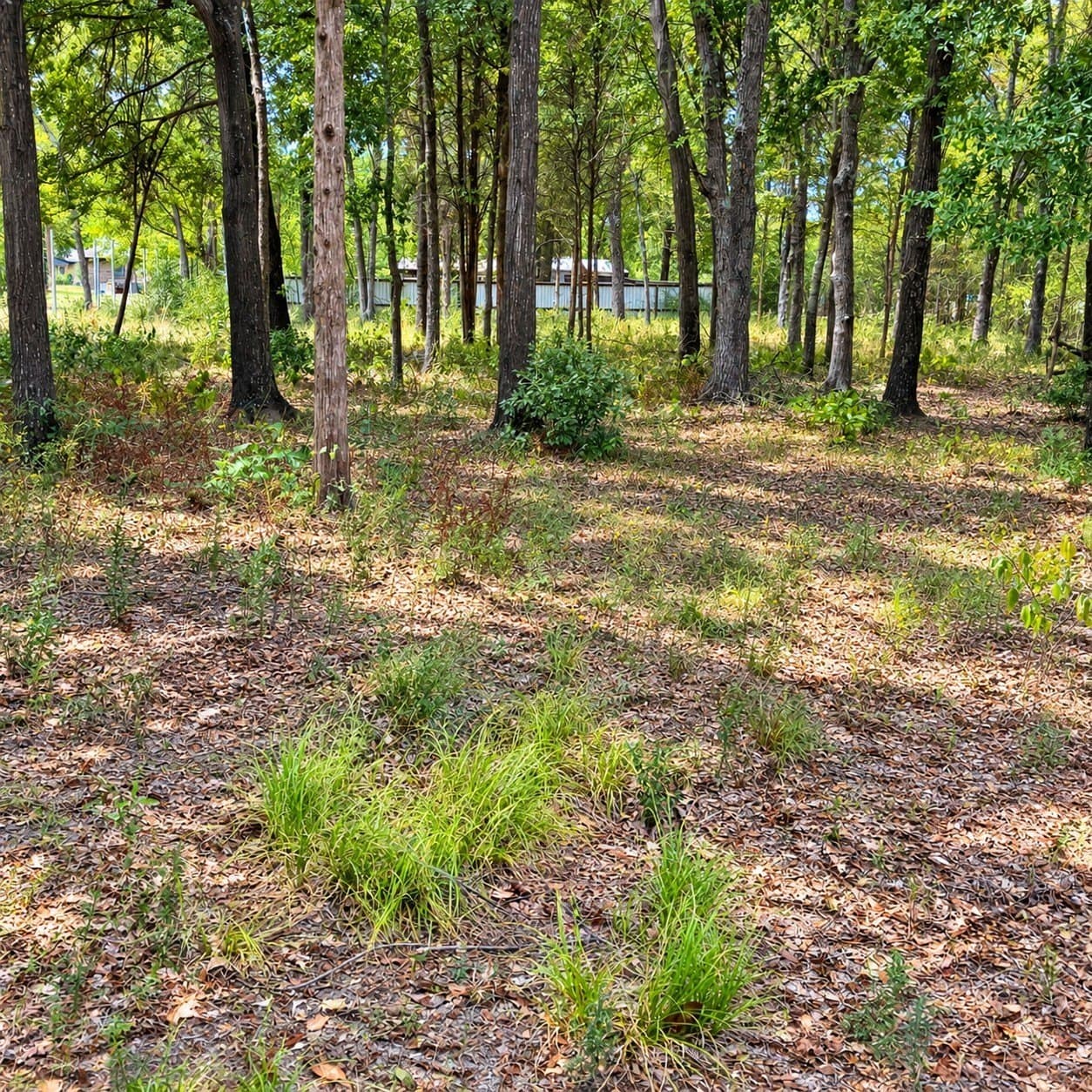 0.36 acres in Henderson County