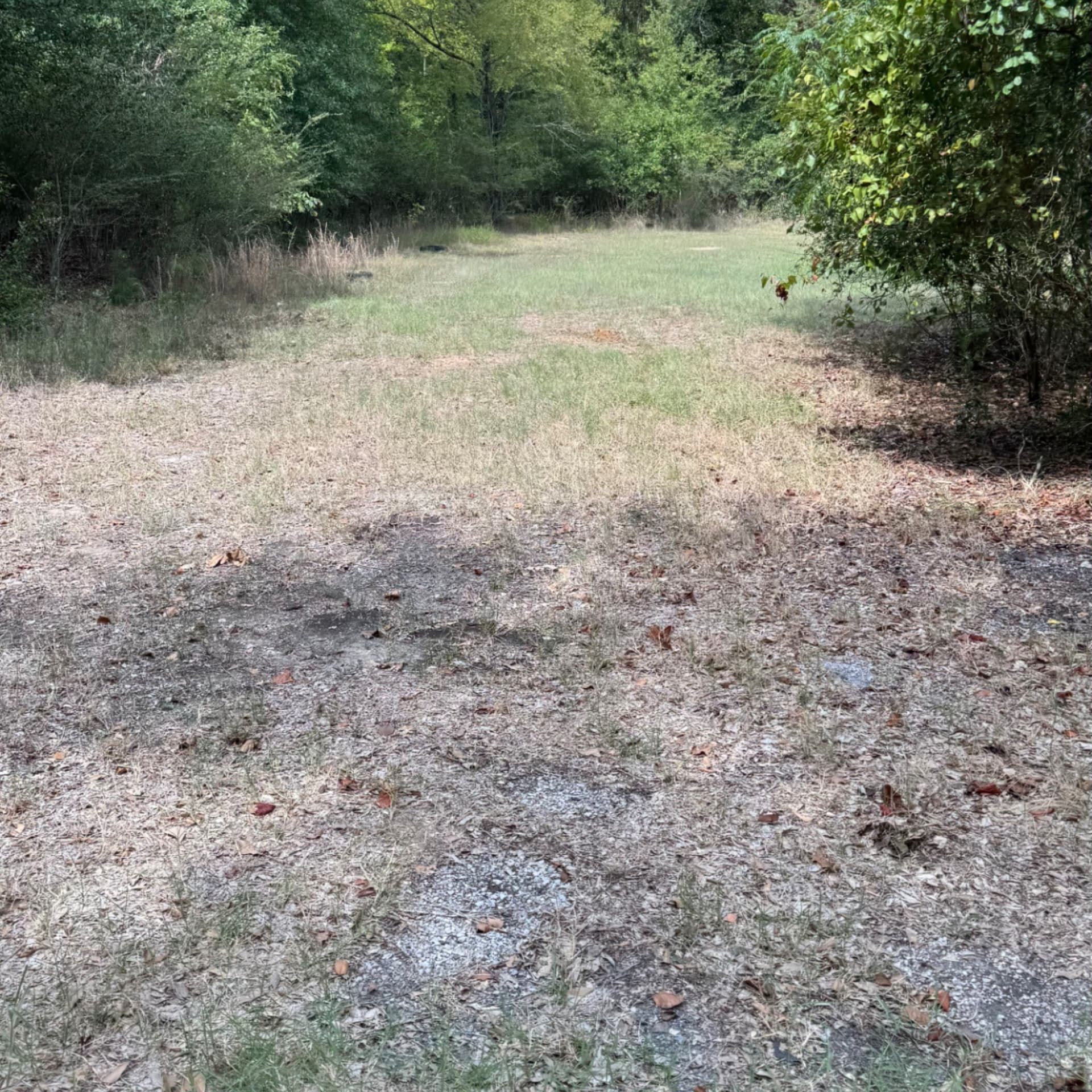 0.36 acres in Henderson County - photo 2
