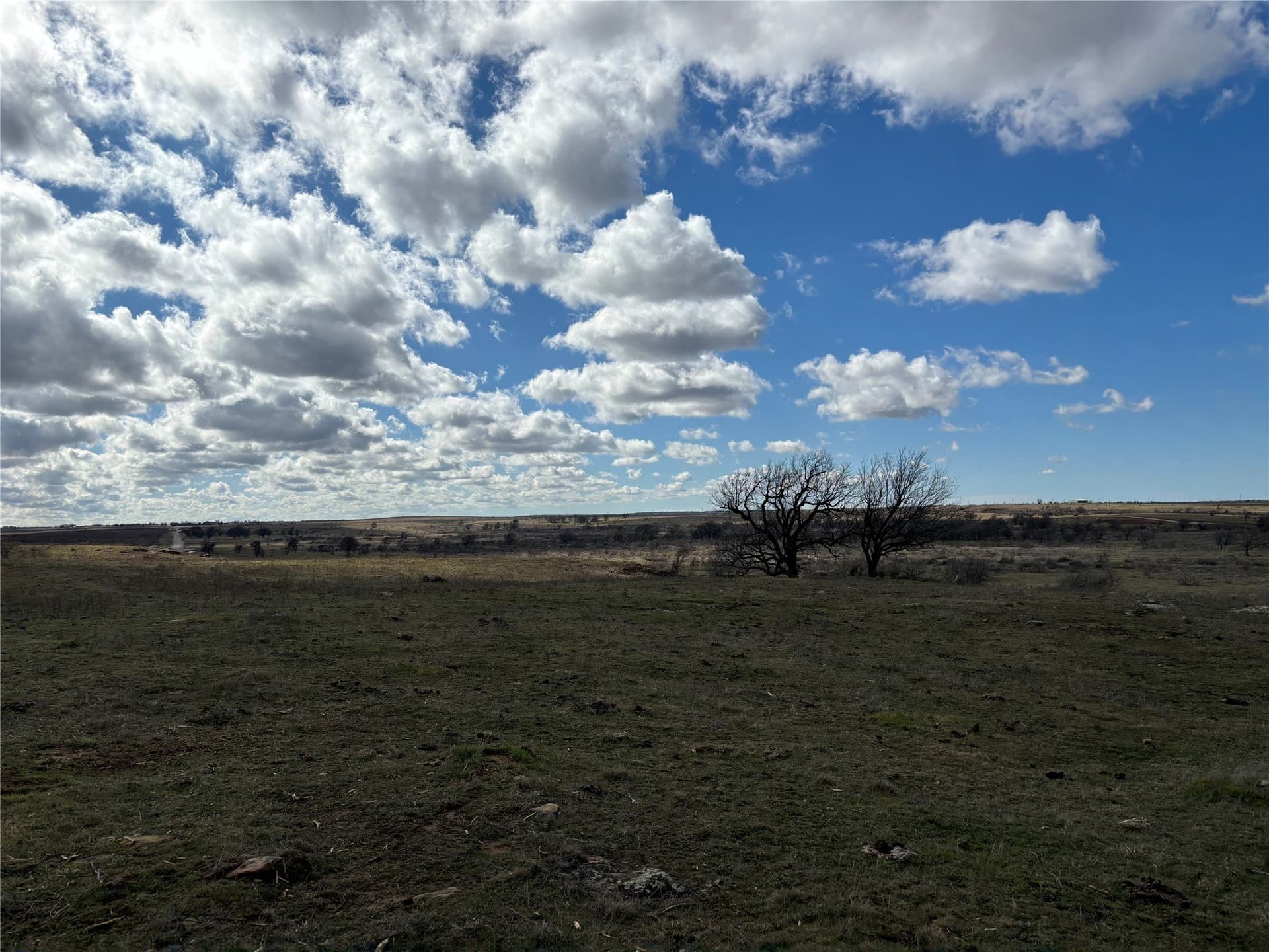 10.1 acres in Montague County - photo 3