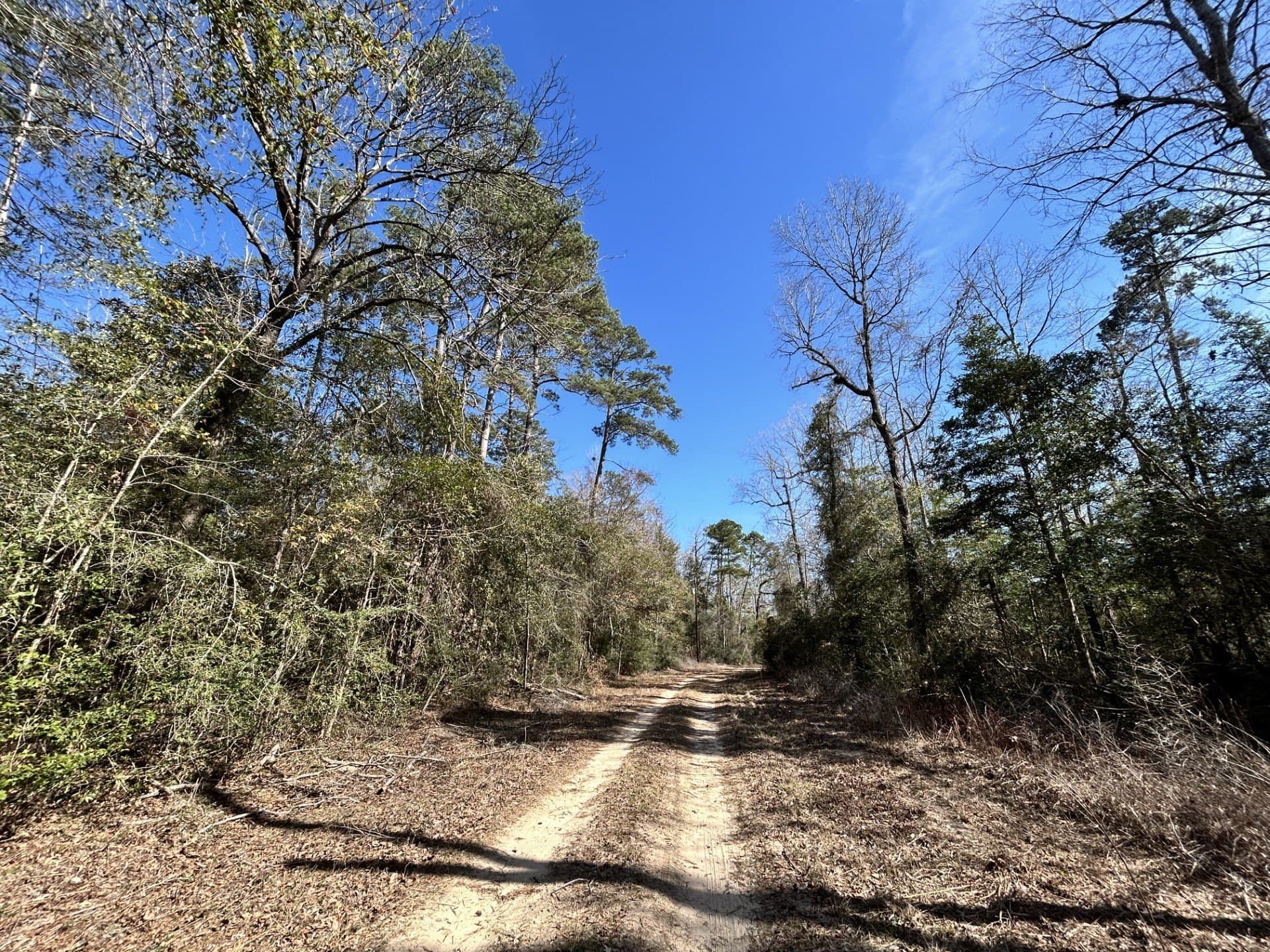 0.7 acres in Tyler County featured view