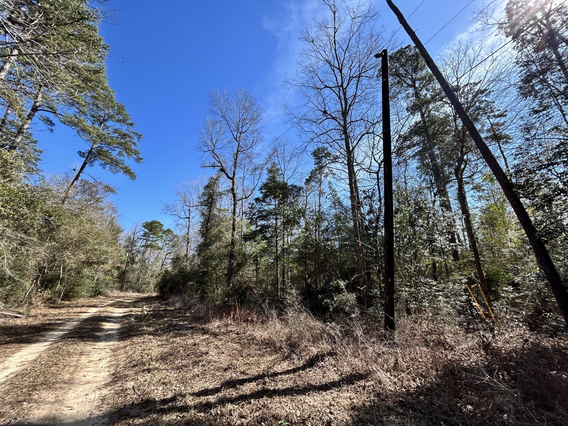 0.7 acres in Tyler County gallery image 3