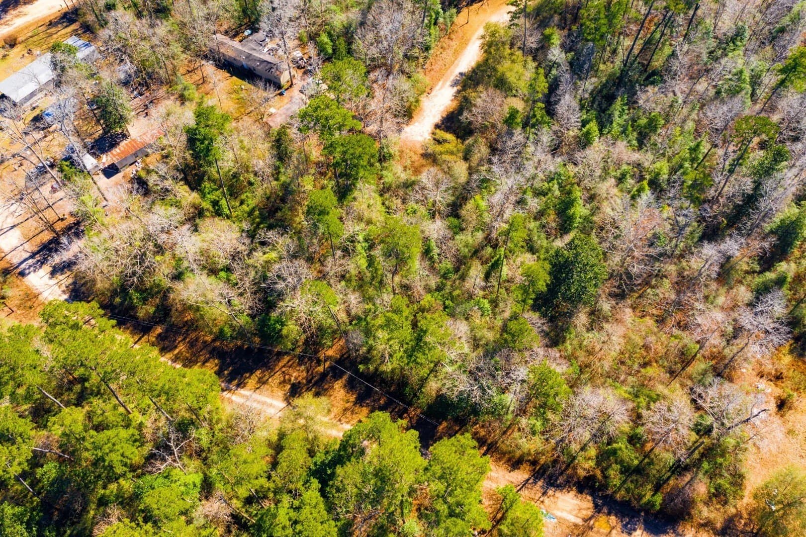 0.7 acres in Tyler County - photo 16