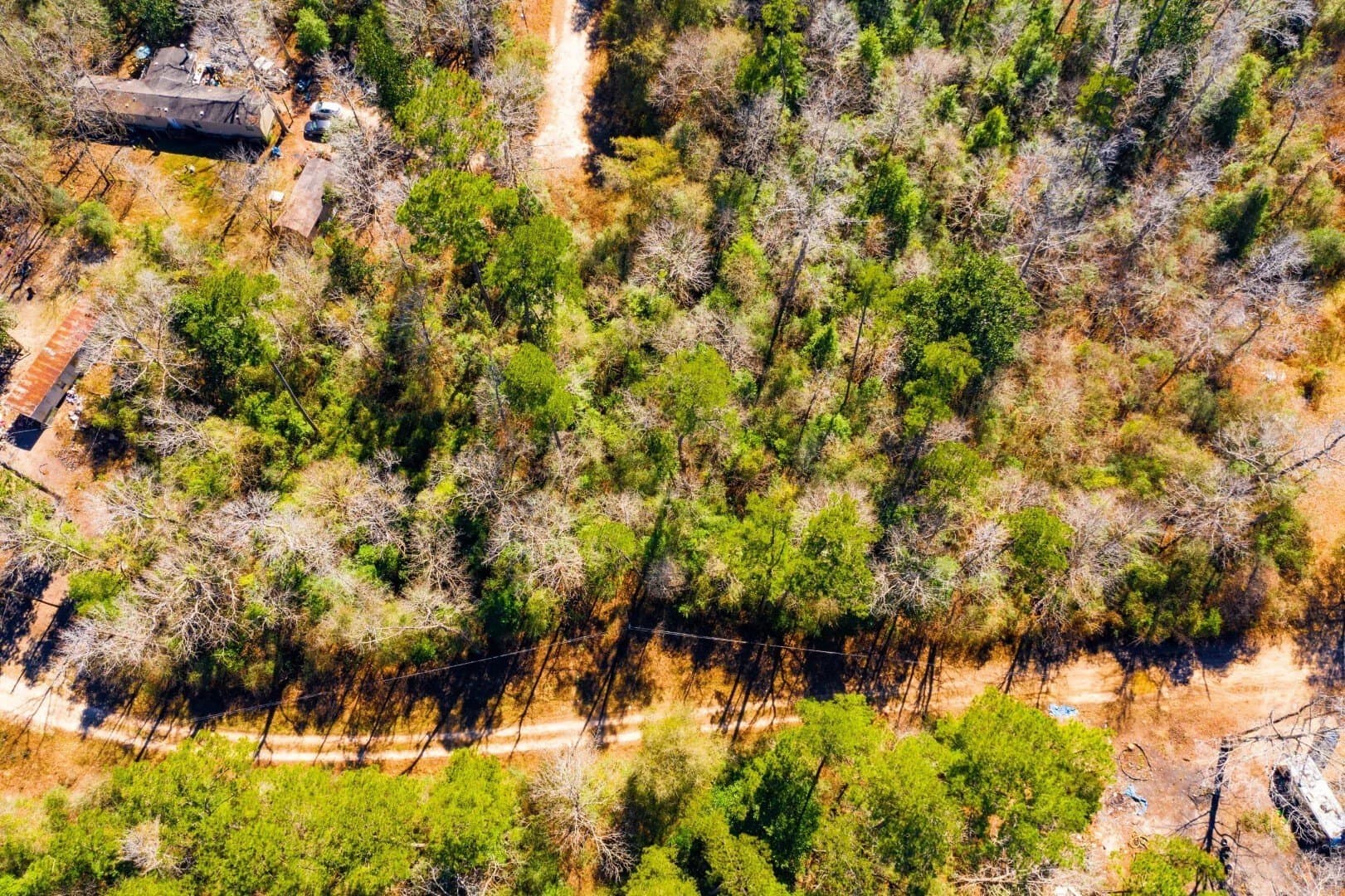 0.7 acres in Tyler County - photo 7