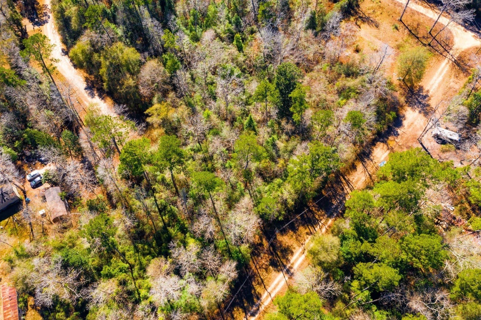 0.7 acres in Tyler County - photo 6