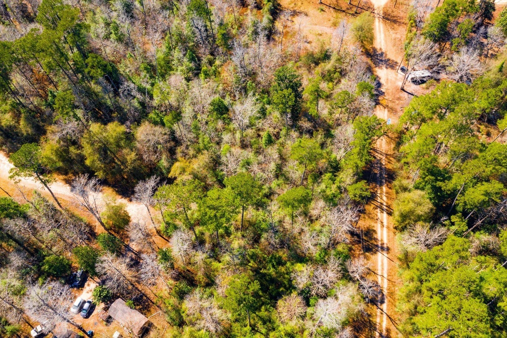0.7 acres in Tyler County - photo 8
