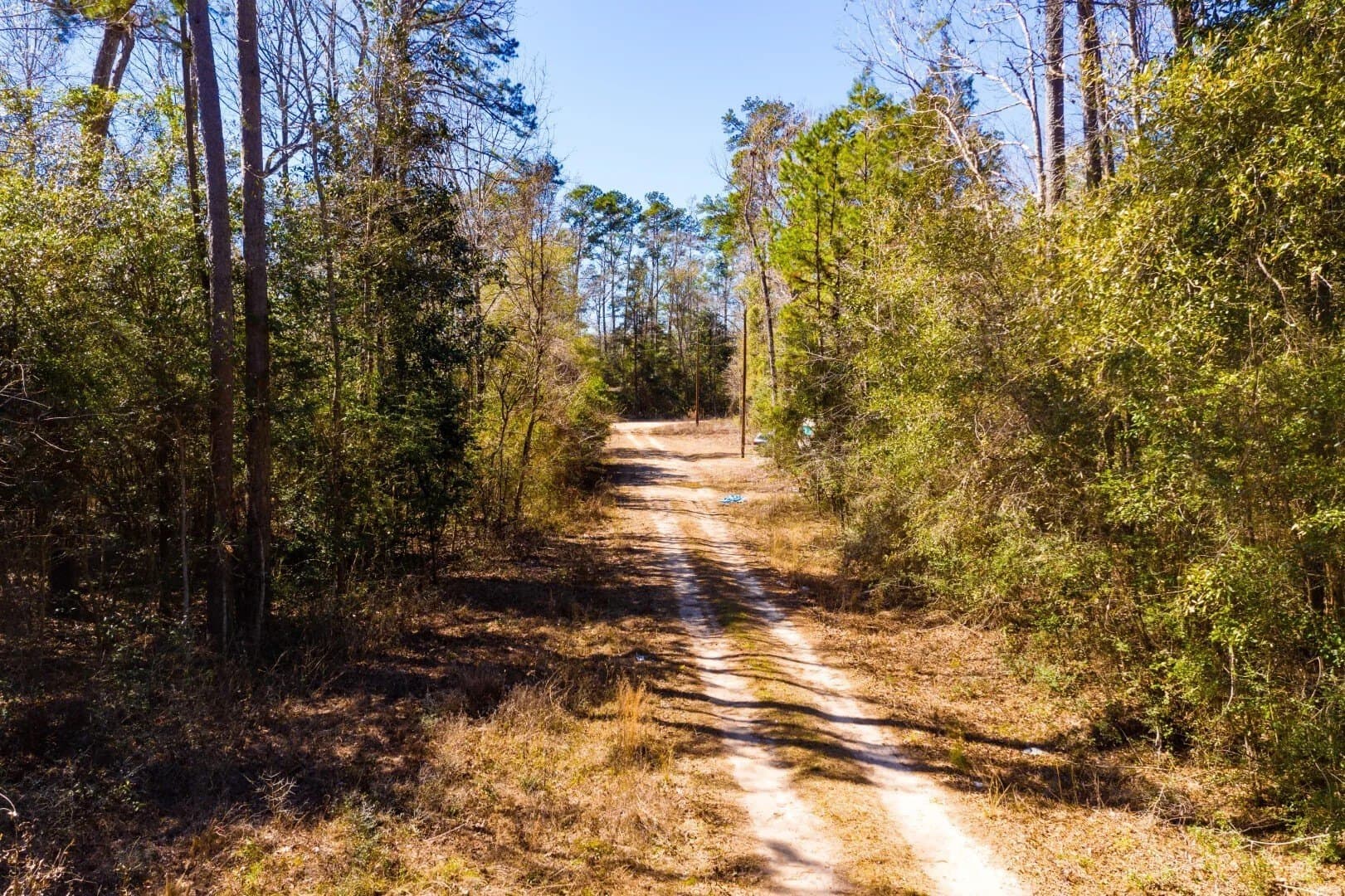 0.7 acres in Tyler County - photo 26