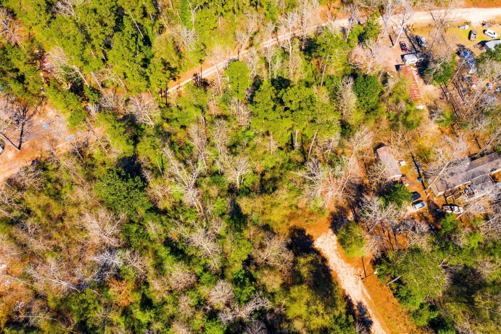 0.7 acres in Tyler County - photo 12