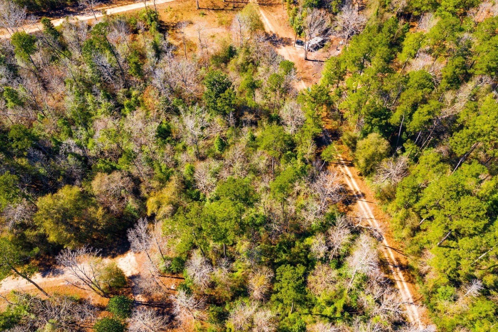 0.7 acres in Tyler County - photo 9