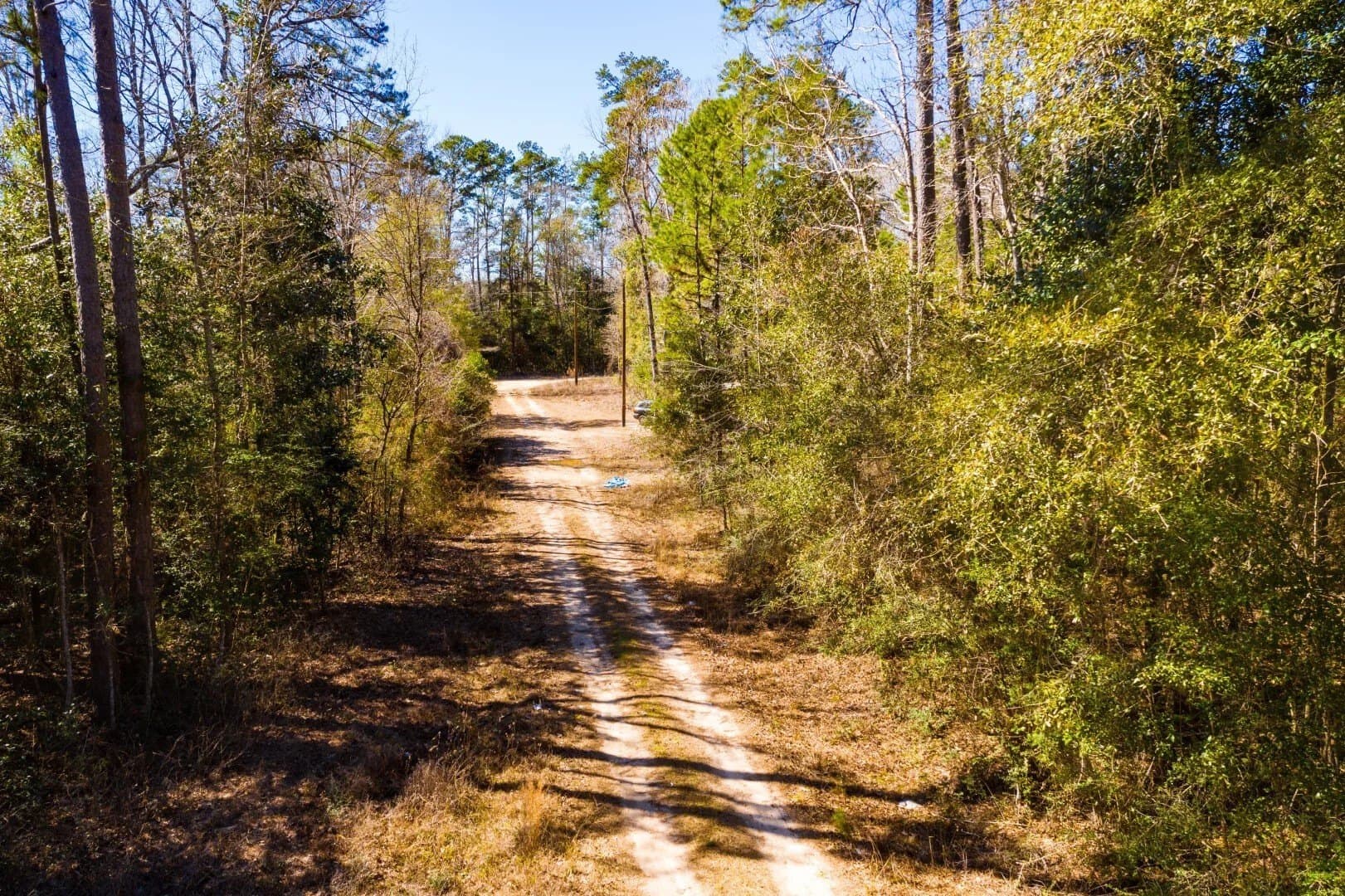 0.7 acres in Tyler County - photo 23