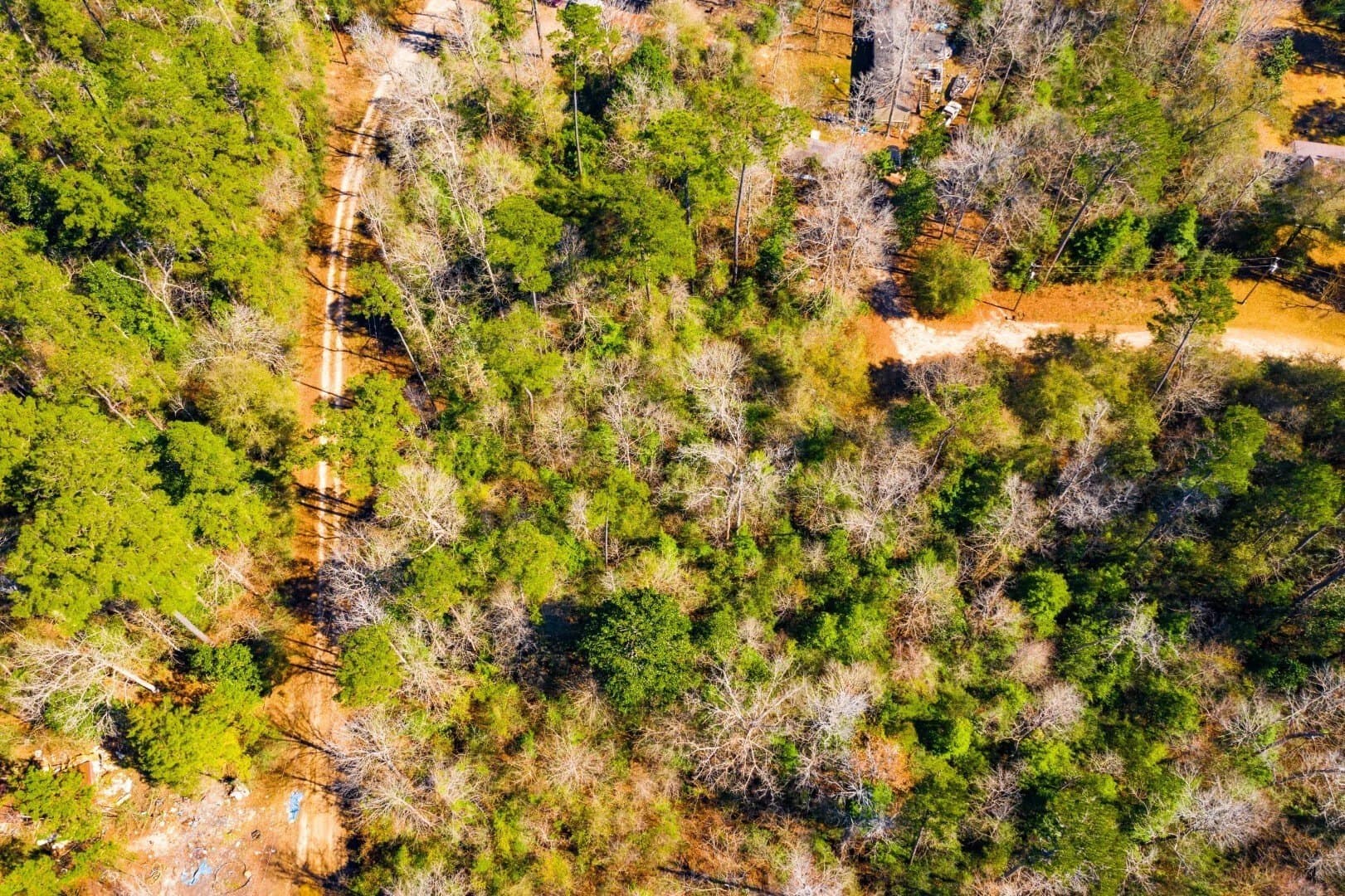 0.7 acres in Tyler County - photo 14