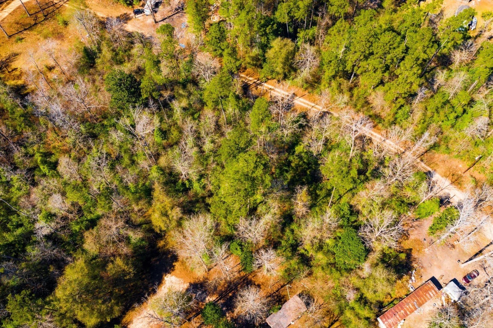 0.7 acres in Tyler County - photo 10