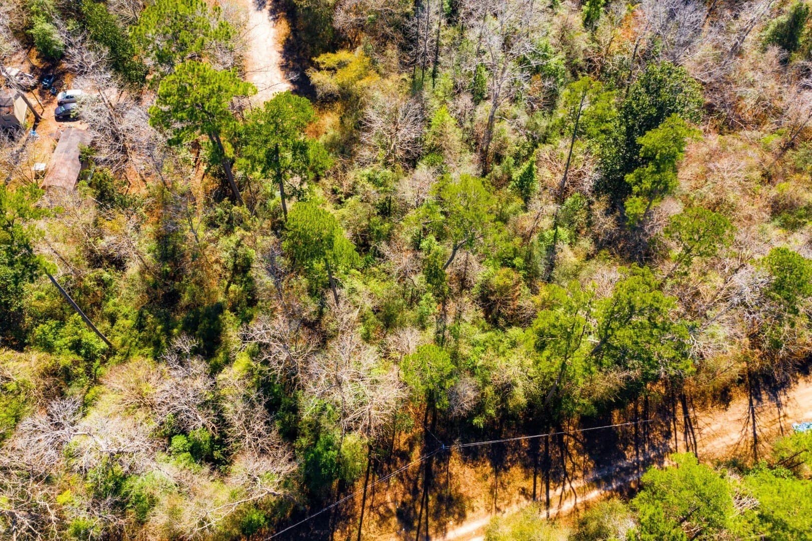 0.7 acres in Tyler County - photo 20