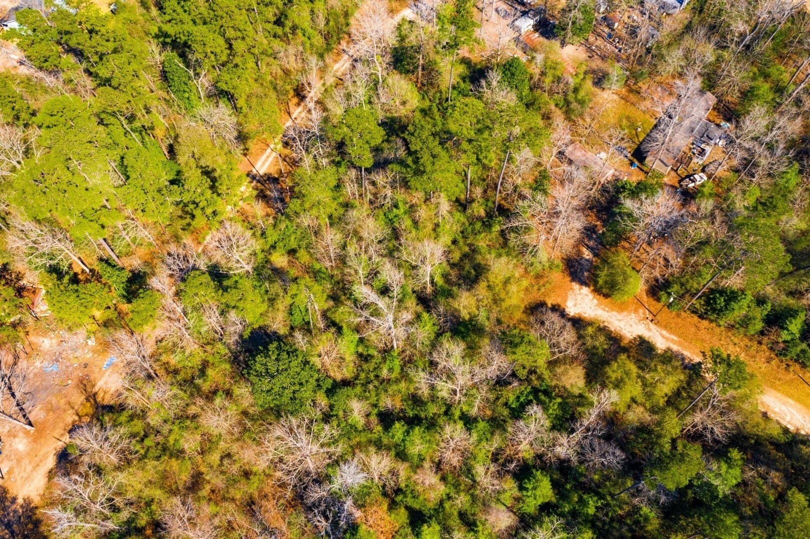 0.7 acres in Tyler County - photo 13
