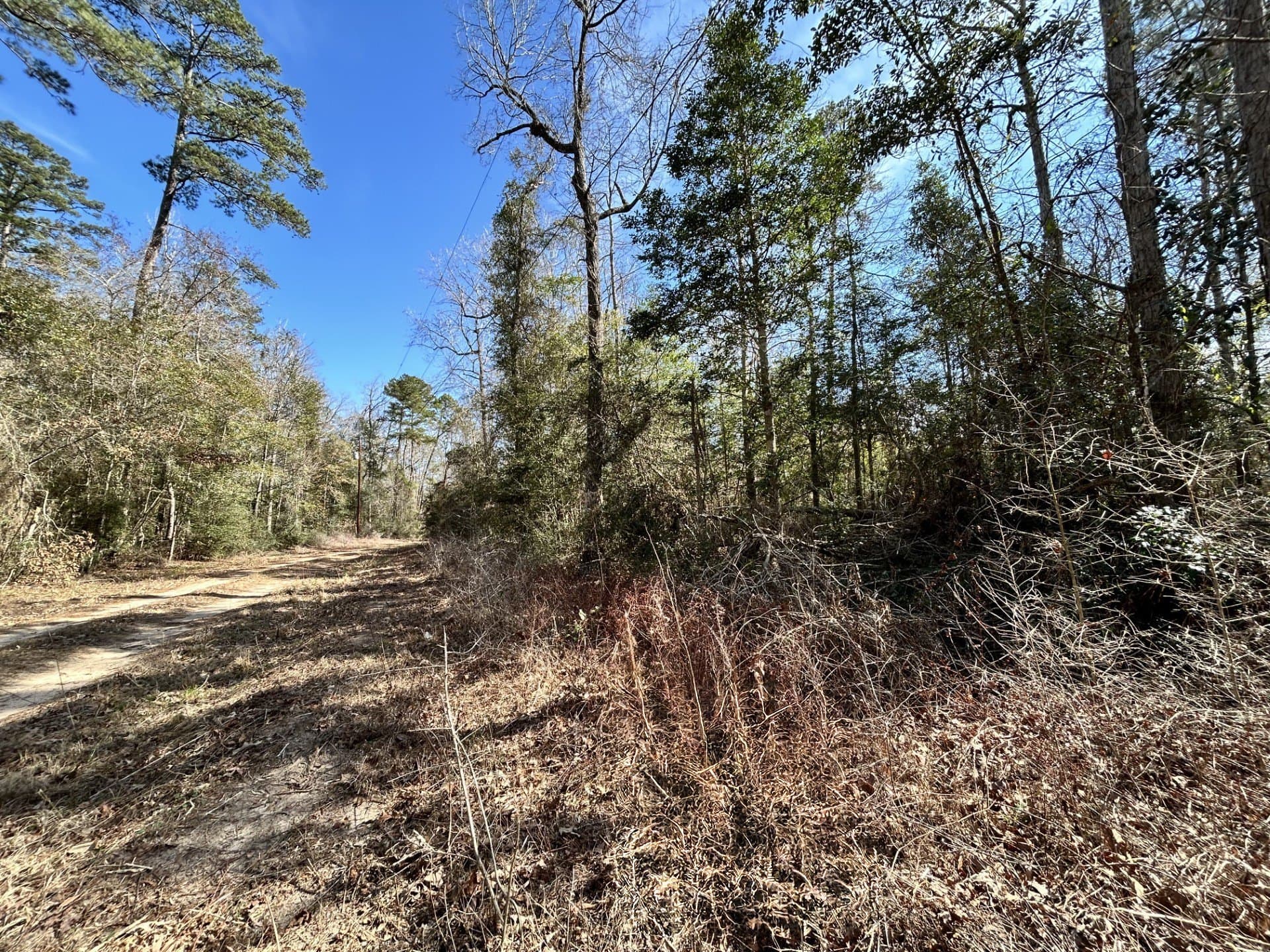 0.7 acres in Tyler County gallery image 2