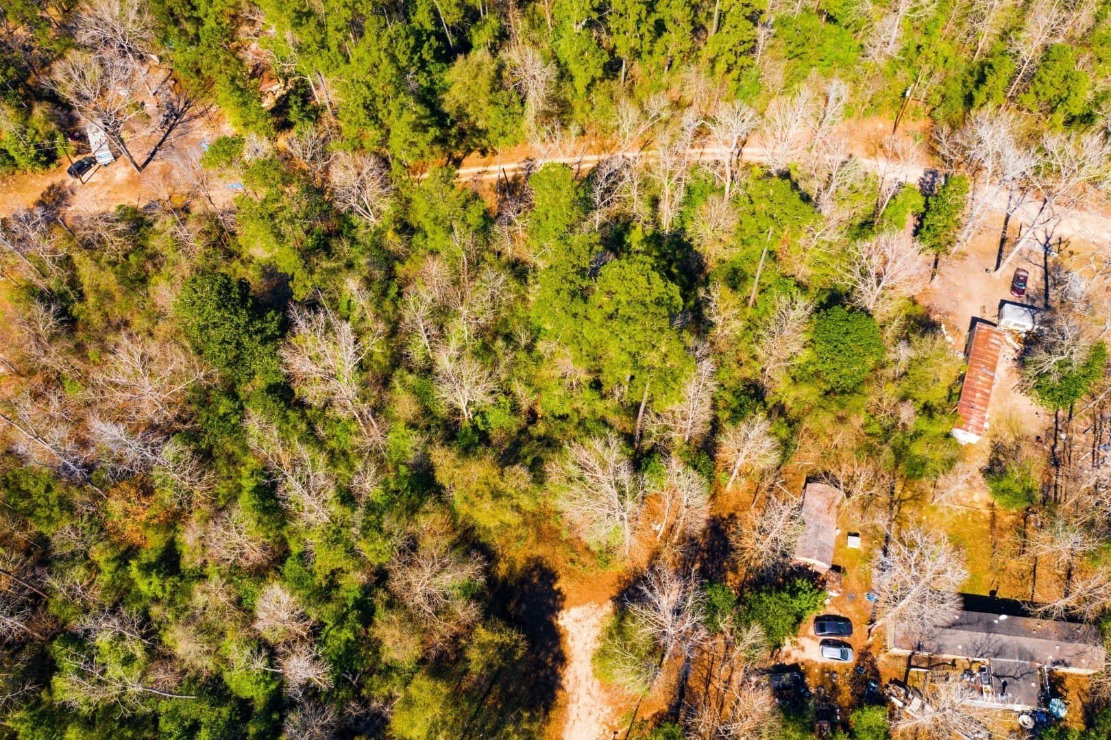 0.7 acres in Tyler County - photo 11